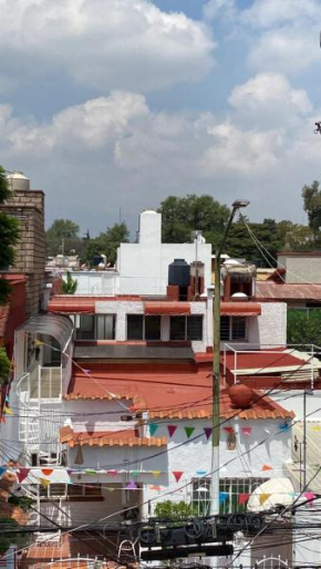 Ruisenor Altos